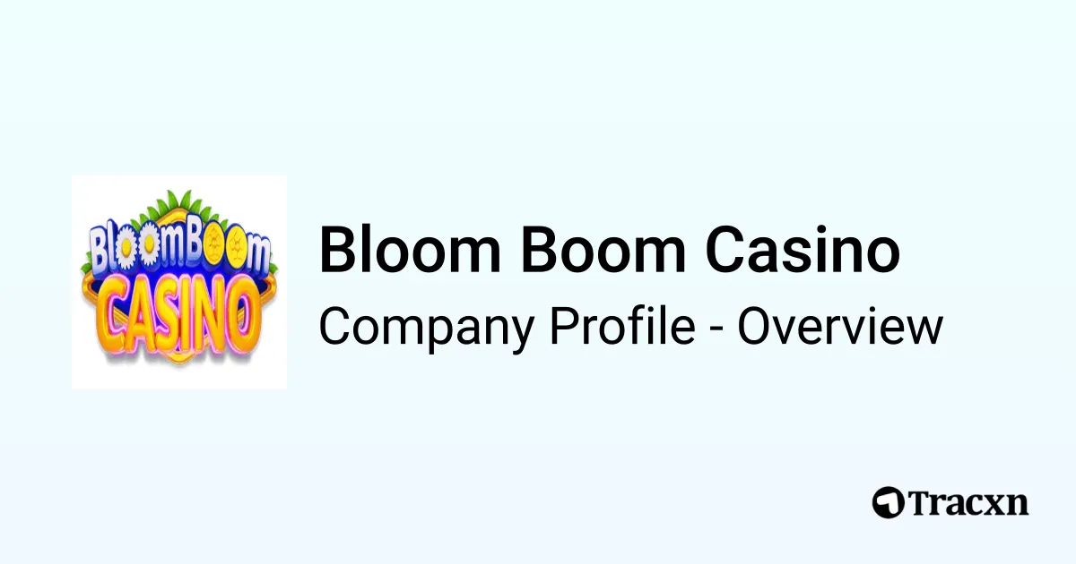 Boom Casino Übersichtsbild