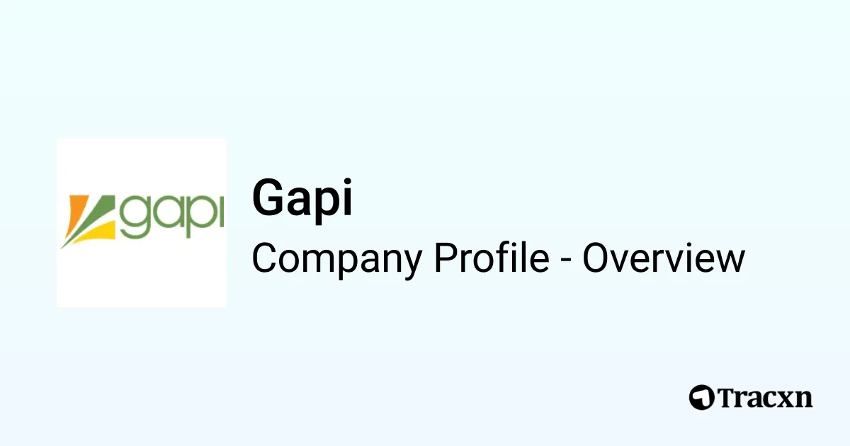 Gapi - 2025 Company Profile, Team & Funding - Tracxn
