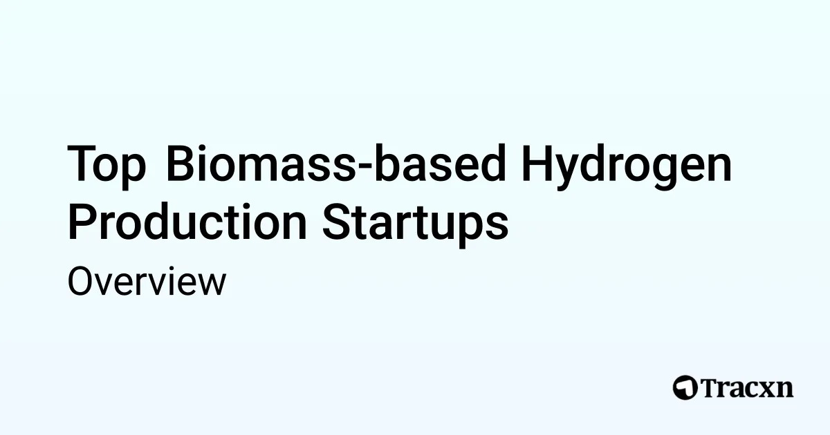 Biomass-based Hydrogen Production - 2025 Market & Investments Trends ...